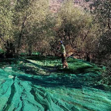 Agrisport Ca Di Cuni Roncagli