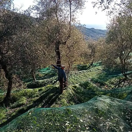 Agrisport Ca Di Cuni Apartman *