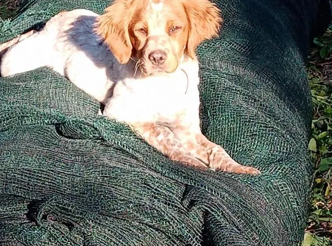 Apartmán Agrisport Ca Di Cuni Roncagli