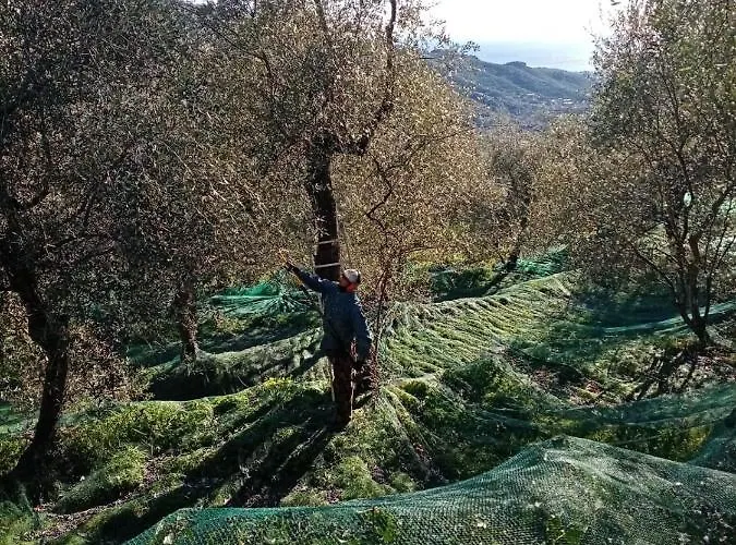 Agrisport Ca Di Cuni דירה *