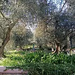 Agrisport Cà Di Cuni Appartement Roncagli