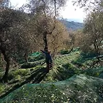 Agrisport Cà Di Cuni Appartement *