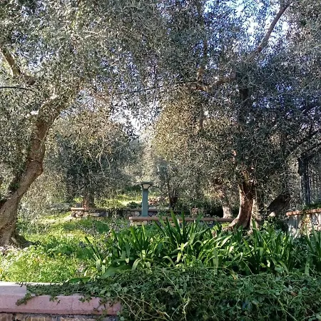 Agrisport Ca Di Cuni דירה Roncagli