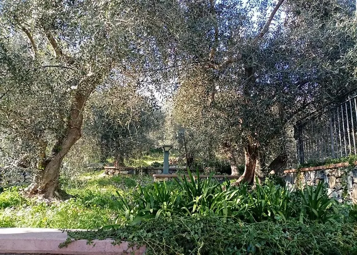 Agrisport Ca Di Cuni Apartamento Roncagli