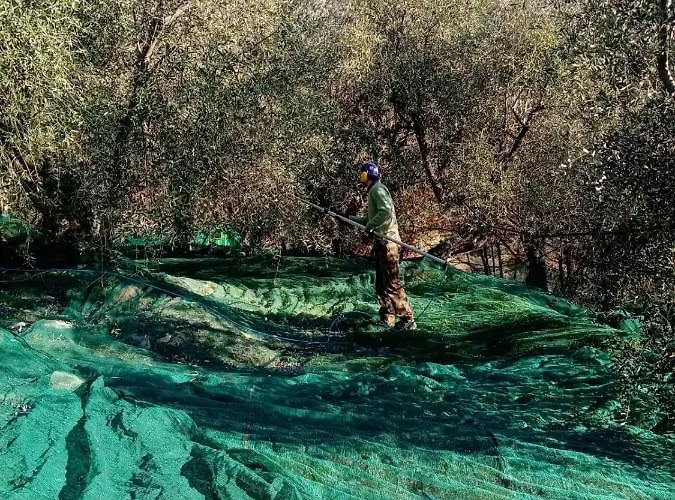 Agrisport Ca Di Cuni Roncagli