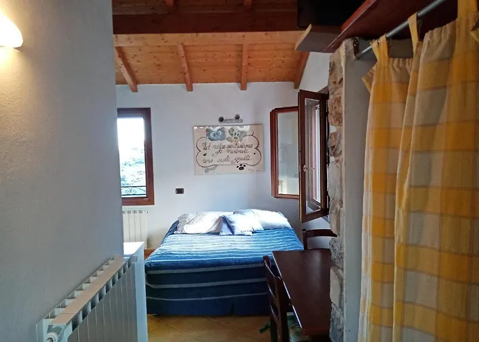 Agrisport Ca Di Cuni